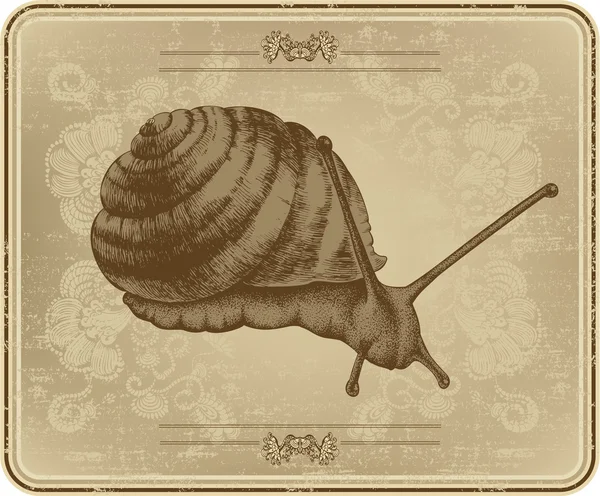 Menu com caracol, desenho à mão. Ilustração vetorial . — Vetor de Stock