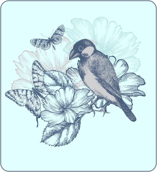 Vectorillustratie van een vogel, bloeiende rozen en vlinders. — Stockvector