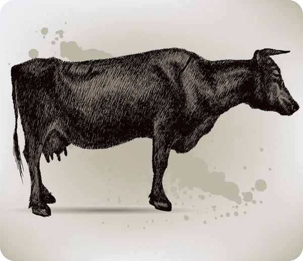 Vache, dessin à la main. Illustration vectorielle . — Image vectorielle