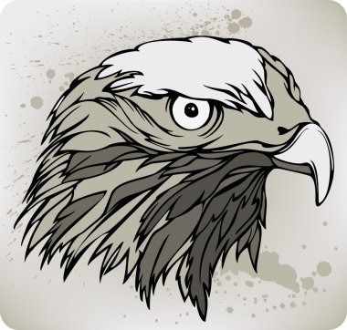 Buzzard hawk, hand drawing. Vector illustration. clipart