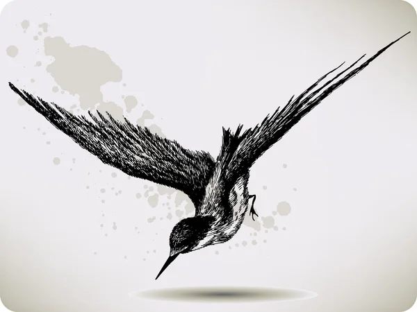 Vol d'oiseau, dessin à la main. Illustration vectorielle . — Image vectorielle