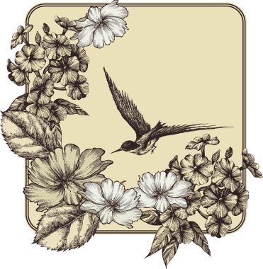 arka plan çiçek açan gül, phlox ve uçan bir kuş. vektör