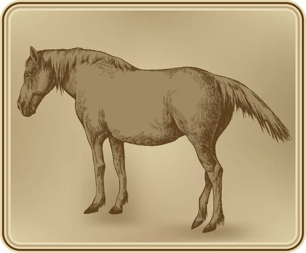 Лошадь, ручная работа. Векторная иллюстрация . — стоковый вектор