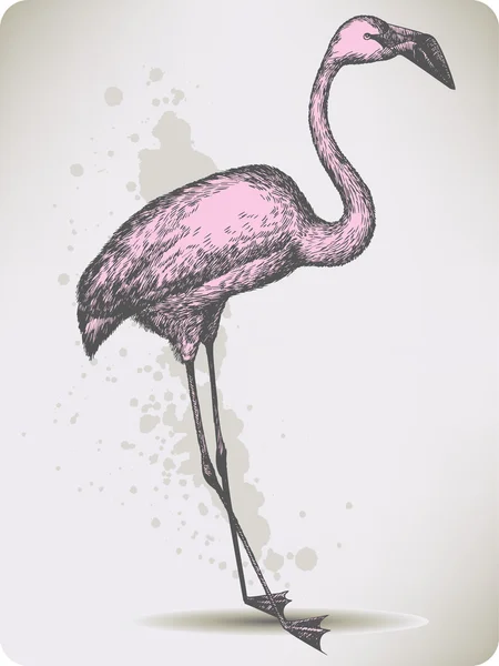 Oiseau flamant rose, dessin manuel. Illustration vectorielle . — Image vectorielle