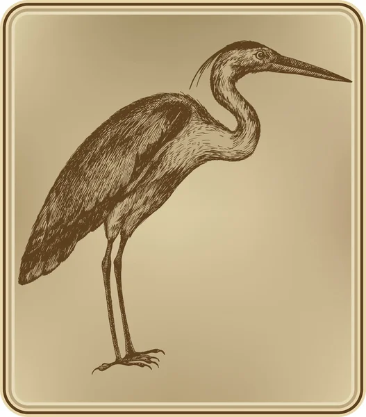 Uccello airone, disegno a mano. Illustrazione vettoriale . — Vettoriale Stock