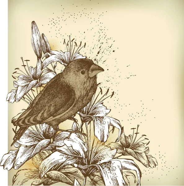 Fondo floreale con gigli e un uccello seduto. Vettore illustr — Vettoriale Stock