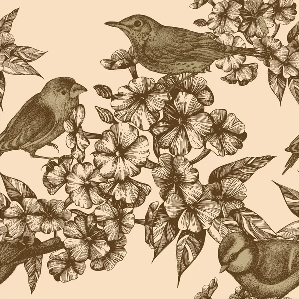 Modèle sans couture avec des oiseaux et des phloxes floraux. Poussière vectorielle — Image vectorielle