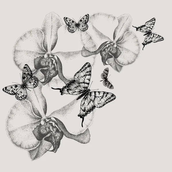 Fondo floral con orquídeas florecientes y mariposas, hand-dr — Vector de stock