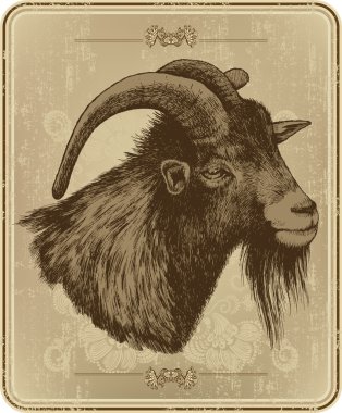 Vintage menu with horny goat, hand-drawing. Vector illustration. clipart