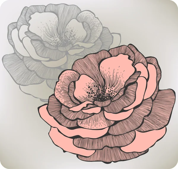 Fleurs de rose sauvage, dessin à la main. Illustration vectorielle . — Image vectorielle