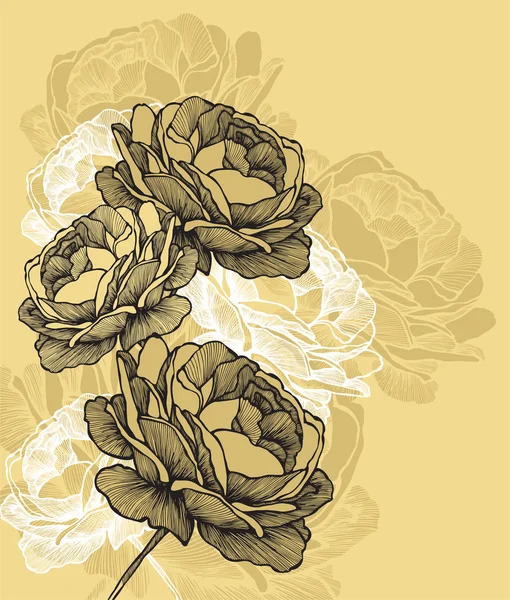 Floral achtergrond met bloeiende Rozen, hand-tekening. vector illu — Stockvector
