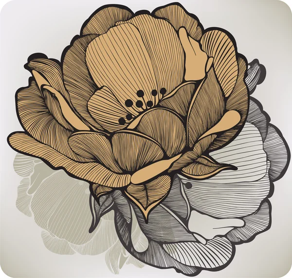抽象的な花を開花。ベクトル イラスト. — ストックベクタ