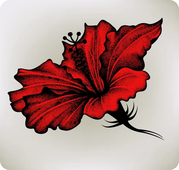 Hibiscus rouge, dessin à la main. Illustration vectorielle . — Image vectorielle