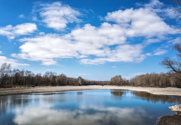 Spring landscape — Stock Photo, Image