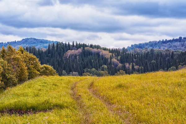 Landscape — Stock Photo, Image