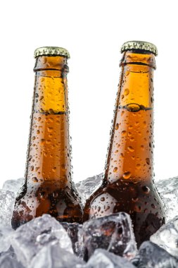 bira buz üstünde