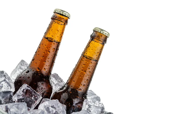 Cervezas sobre hielo con copyspace —  Fotos de Stock