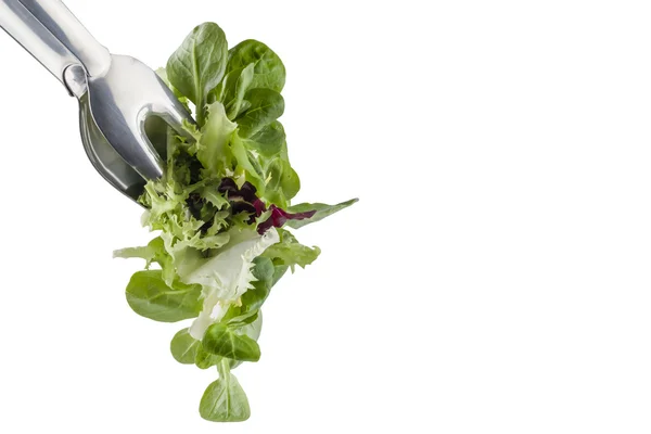Verse salade in een klem — Stockfoto