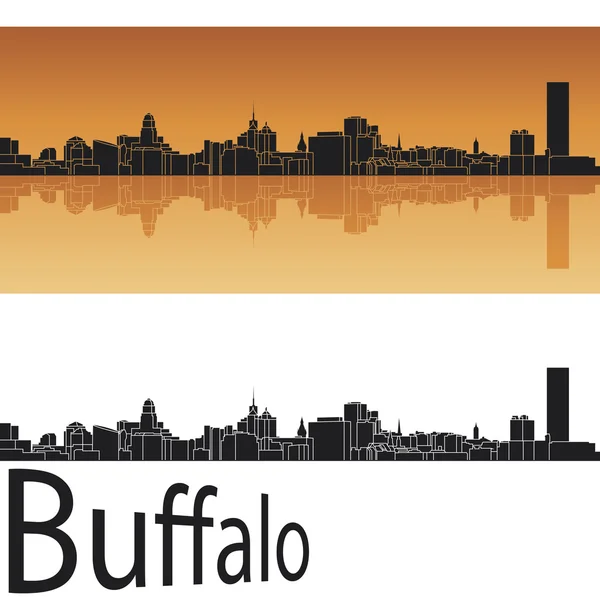 Buffalo Skyline — Stock Vector