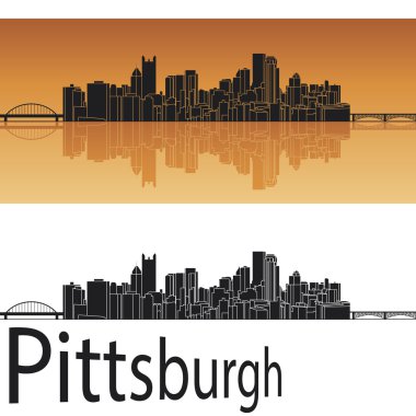 Pittsburgh manzarası