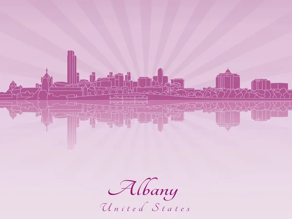 Albany skyline dans orchidée rayonnante — Image vectorielle