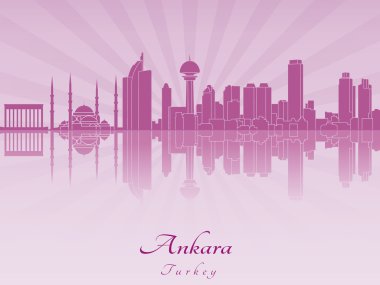 Ankara manzarası içinde mor parlak orkide