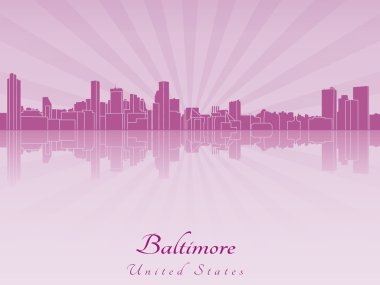 Baltimore manzarası içinde mor parlak orkide