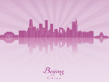 Pekin manzarası içinde mor parlak orkide