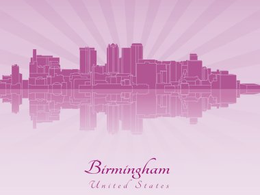 Birmingham al manzarası içinde mor parlak orkide
