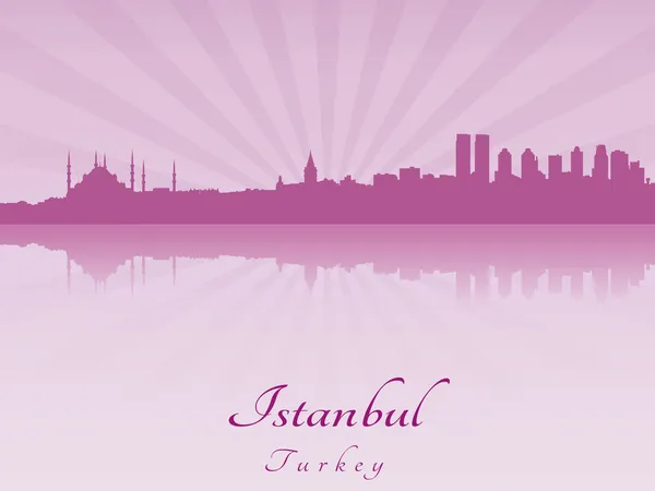Panorama Istanbulu v purpurové zářící orchidej — Stockový vektor