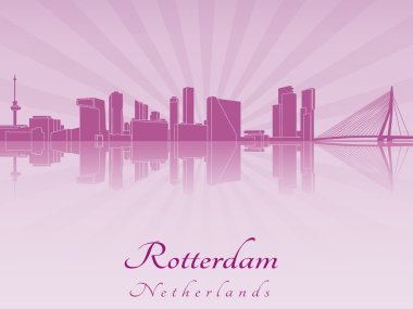 Rotterdam manzarası içinde mor parlak orkide