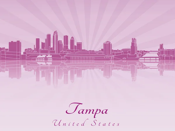 Tampa skyline v purpurové zářící orchidej — Stockový vektor