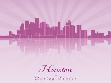 Houston manzarası içinde mor parlak orkide