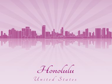 mor parlak orkide yılında Honolulu manzarası