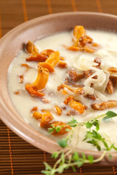 Chantarelle soup — Stock Photo, Image