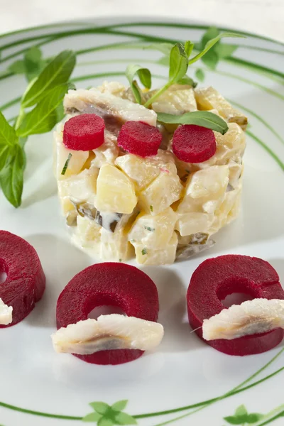 Ringa balığı ve şeker pancarı patates salatası — Stok fotoğraf