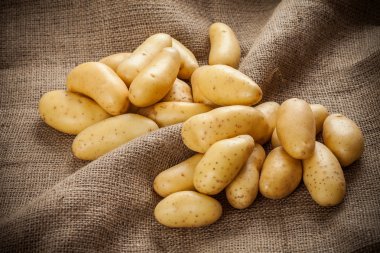 tuval zemin üzerine taze patates