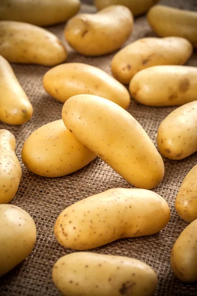 Unga potatis på en duk bakgrund — Stockfoto
