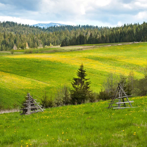 Paesaggio estivo con montagne — Foto Stock