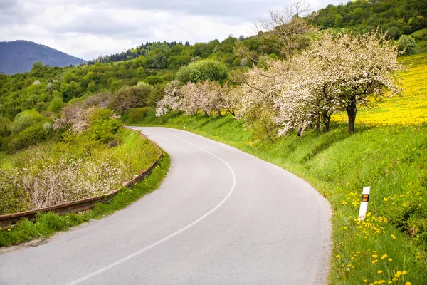 Strada asfaltata in montagna — Foto Stock