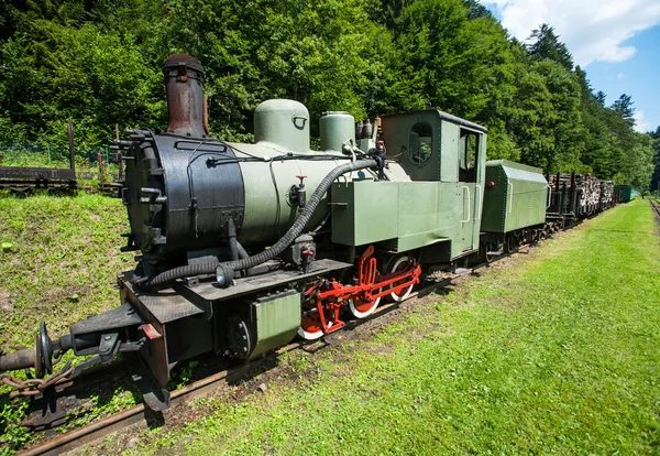 Trens ferroviários de bitola estreita, trem a vapor em Cisna, Polônia — Fotografia de Stock