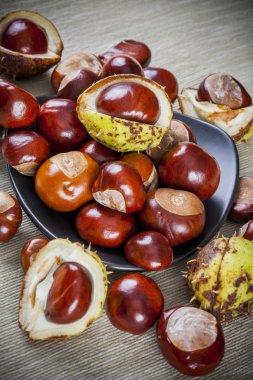 kestane tuval zemin üzerine