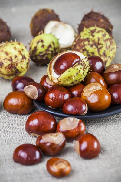 Autumn image of chestnuts — Stock Photo, Image