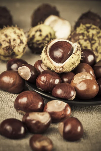 Chestnuts in group, brown colorized picture, vintage — Stock Photo, Image