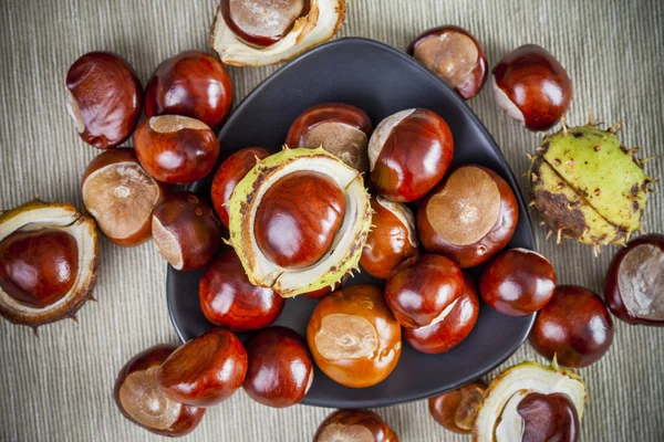 Ripe chestnuts, top view — Stock Photo, Image