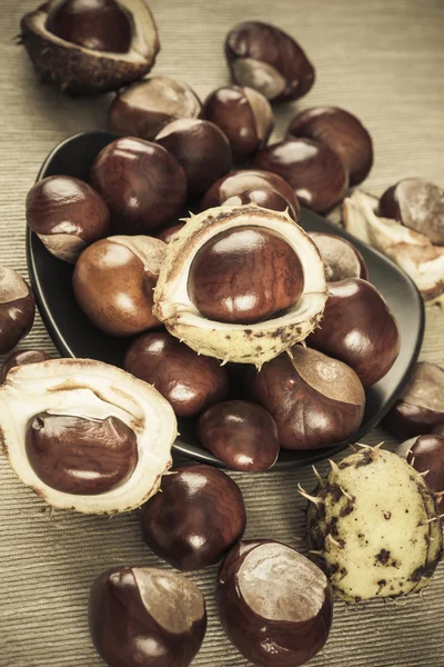 Chestnuts brown colorized picture — Stock Photo, Image