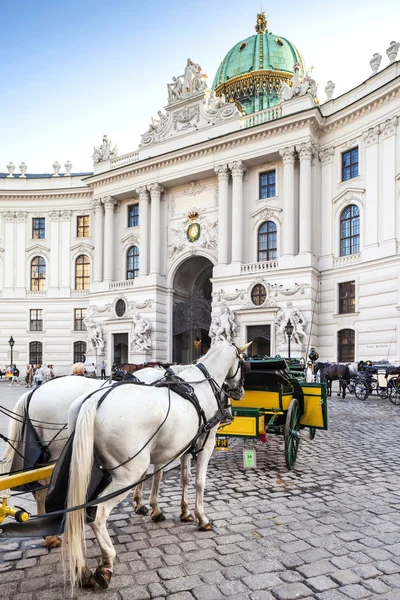 Wina, Austria - 30 Agustus 2013: Pintu masuk utama ke gerobak-gerobak yang ditarik oleh kuda dari istana Hofburg menunggu para wisatawan di gerbang utama Istana Hofburg di Wina — Stok Foto