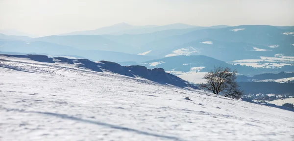 Paisaje horizontal de invierno — Foto de Stock