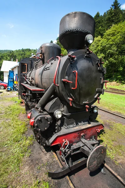 Narrow-gauge railway, steam train in Cisna, Poland — Stock Photo, Image