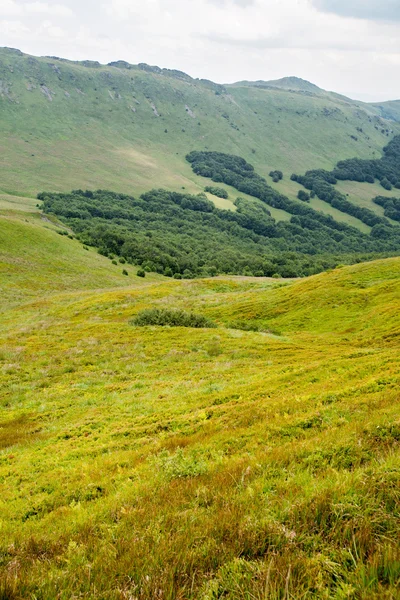 Bieszczady mountains, Poland View of Tarnica trail — Stock Photo, Image